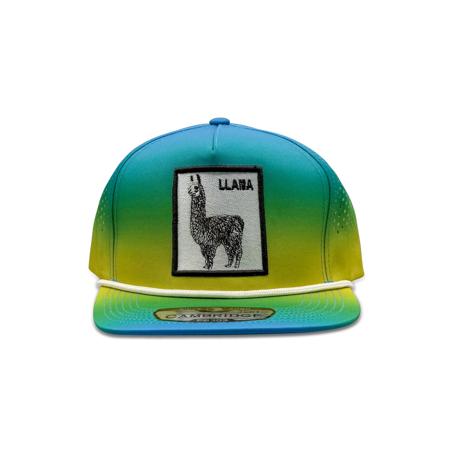Cambridge Blue Yellow Baseball Hat with Llama Patch
