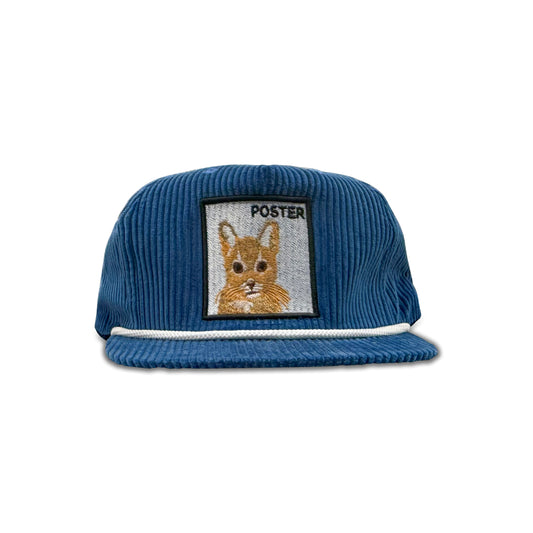 Poster Blue Baseball Hat with Cat Patch