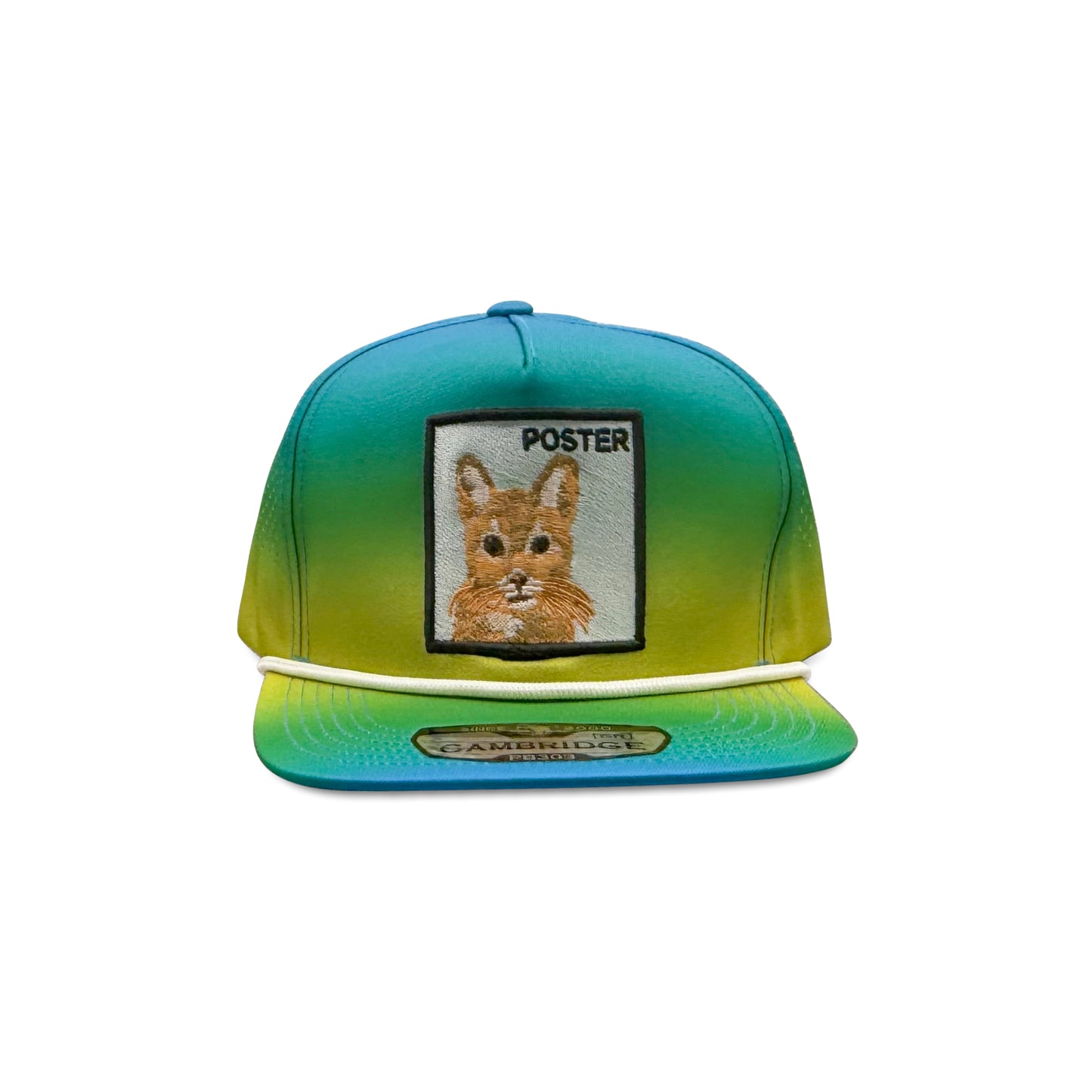 Cambridge Blue Yellow Baseball Hat with Poster Cat Patch