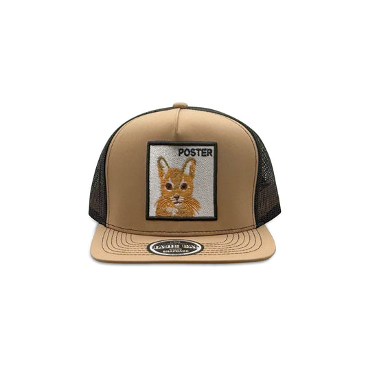 Headwear Brown Black Trucker Hat with Poster Cat Patch