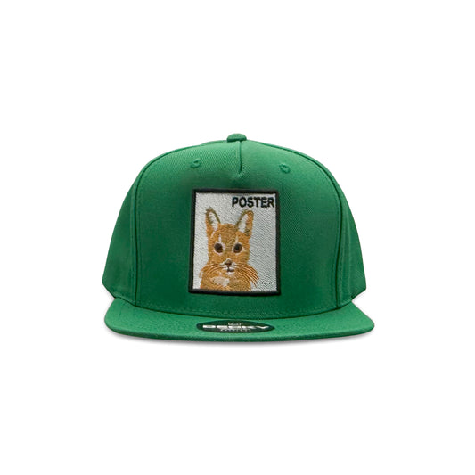 Decky Green Baseball Hat with Poster Cat Patch
