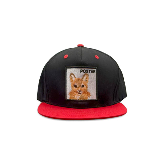 Poster Black Baseball Hat with Cat Patch