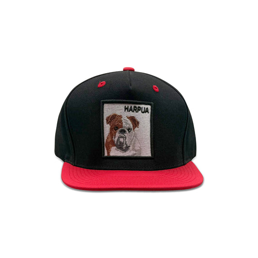 Harpua Black Baseball Hat with Patch