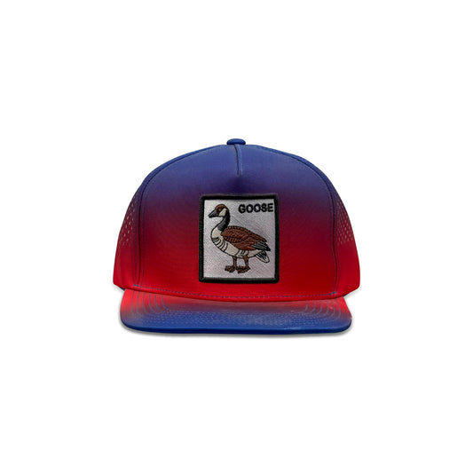 Goose Purple Red Baseball Hat with Duck Patch